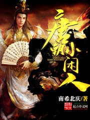 《唐朝小闲人》（校对版全本）作者：南希北庆 百度云txt全集下载 封面