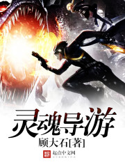 《灵魂导游》（校对版全本）作者：顾大石 百度云txt全集下载 封面