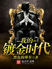 《我的镀金时代》（校对版全本）作者：黑色的单车 百度云txt全集下载 封面