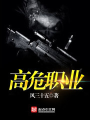 《高危职业》（校对版全本）作者：风三十五 百度云txt全集下载 封面
