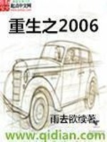 《重生之2006》(校对版全本)作者:雨去欲续 百度云txt全集下载 封面