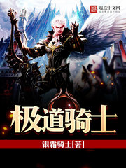 《极道骑士》（校对版全本）作者：银霜骑士 百度云txt全集下载 封面