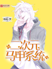 《次元马甲系统》（校对版全本）作者：哆啦i梦 百度云txt全集下载 封面