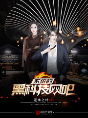 《系统的黑科技网吧》(校对版全本)作者:逆水之叶 百度云txt全集下载 封面
