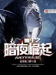 《重生之暗夜崛起》（校对版全本）作者：家里第三胖 百度云txt全集下载 封面