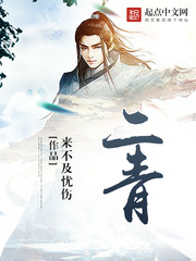 《二青》（校对版全本）作者：来不及忧伤 百度云txt全集下载 封面