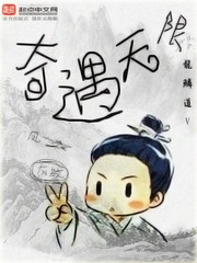 《奇遇无限》（校对版全本）作者：龙鳞道 百度云txt全集下载 封面
