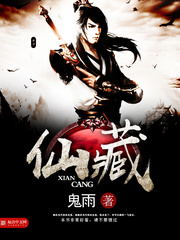 《仙藏》（校对版全本）作者：鬼雨 百度云txt全集下载 封面