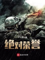 《绝对荣誉》（校对版全本）作者：严七官 百度云txt全集下载 封面