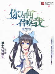 《你为何召唤我》（校对版全本）作者：第十六笼馒头 百度云txt全集下载 封面