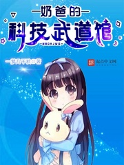 《奶爸的科技武道馆》(校对版全本)作者:一梦几千秋 百度云txt全集下载 封面