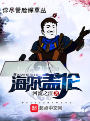 《海贼盖伦》（校对版全本）作者：河流之汪 百度云txt全集下载 封面