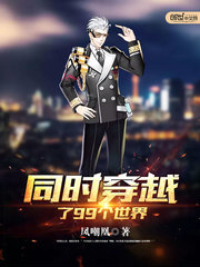 《同时穿越了99个世界》（校对版全本）作者：凤嘲凰 百度云txt全集下载 封面