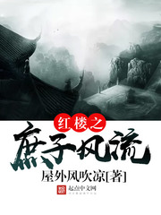 《红楼之庶子风流》（校对版全本）作者：屋外风吹凉 百度云txt全集下载 封面