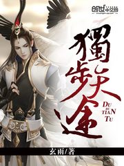 《独步天途》（校对版全本）作者：玄雨 百度云txt全集下载 封面