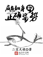《咸鱼翻身的正确姿势》（校对版全本）作者：二宝天使 百度云txt全集下载 封面