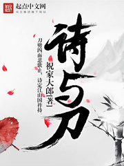 《诗与刀》（校对版全本）作者：祝家大郎 百度云txt全集下载 封面