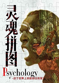 《Psychology 灵魂拼图》（校对版全本）作者：伯百川 百度云txt全集下载 封面