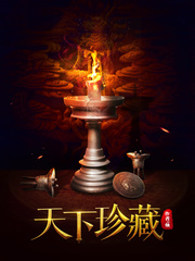 《天下珍藏》（校对版全本）作者：烛 百度云txt全集下载 封面