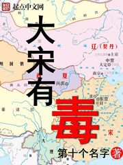 《大宋有毒》（校对版全本）作者：第十个名字 百度云txt全集下载 封面