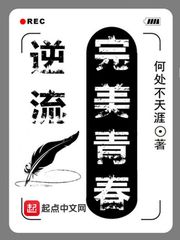 《逆流完美青春》（校对版全本）作者：何处不天涯 百度云txt全集下载 封面