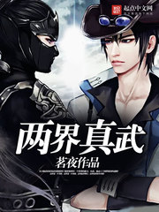 《两界真武》（校对版全本）作者：茗夜 百度云txt全集下载 封面