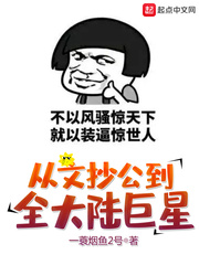 《从文抄公到全大陆巨星》（校对版全本）作者：一蓑烟鱼2 txt全集下载 封面