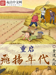 《重启飞扬年代》（校对版全本）作者：贫道九段 百度云TXT全集下载 封面