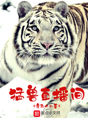 《猛兽直播间》（校对版全本）作者：廖不十 百度云txt全集下载 封面